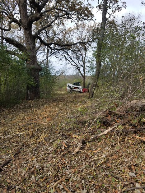 Specialized BobCat to clear